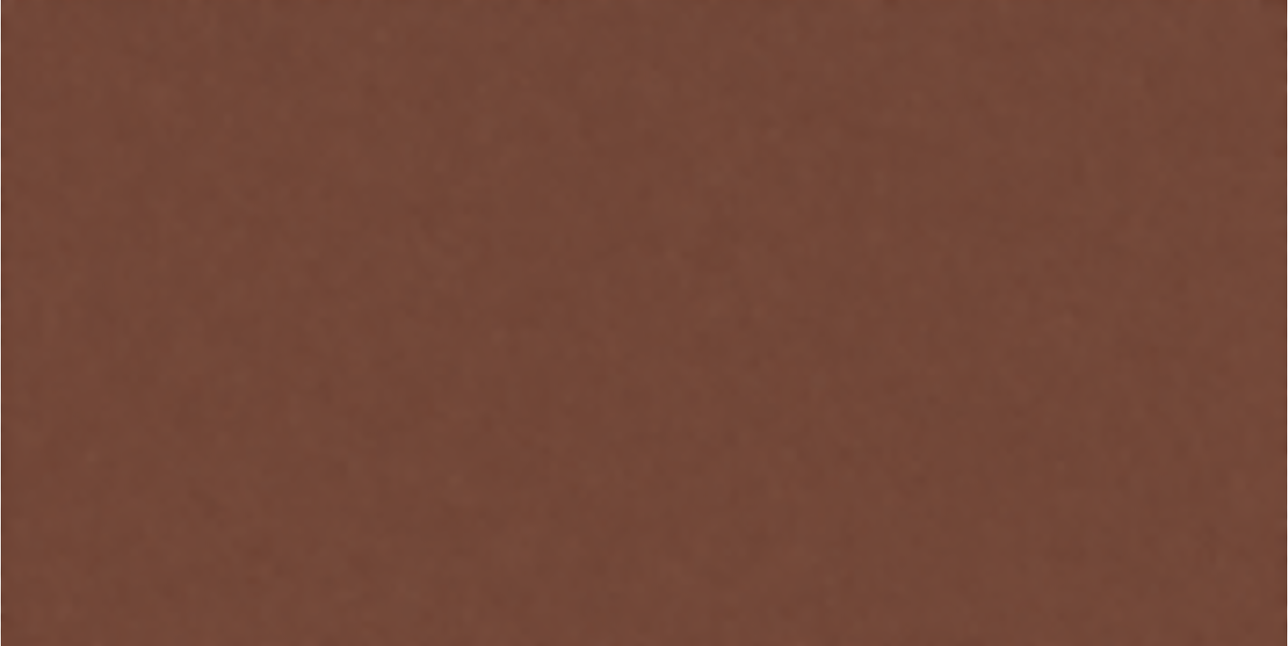 萩原千速 髪色 シャドウ #79493A